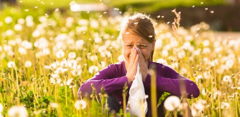 Secret Home Remedies to Deal with Seasonal Allergies